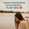 Experiencias de trabajo